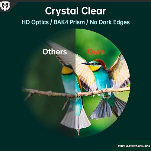 Comparison of bird image clarity, showcasing HD optics benefits.